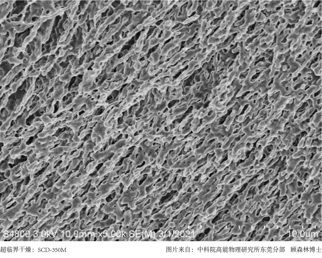 超臨界干燥法與常規(guī)空氣干燥法對(duì)比圖